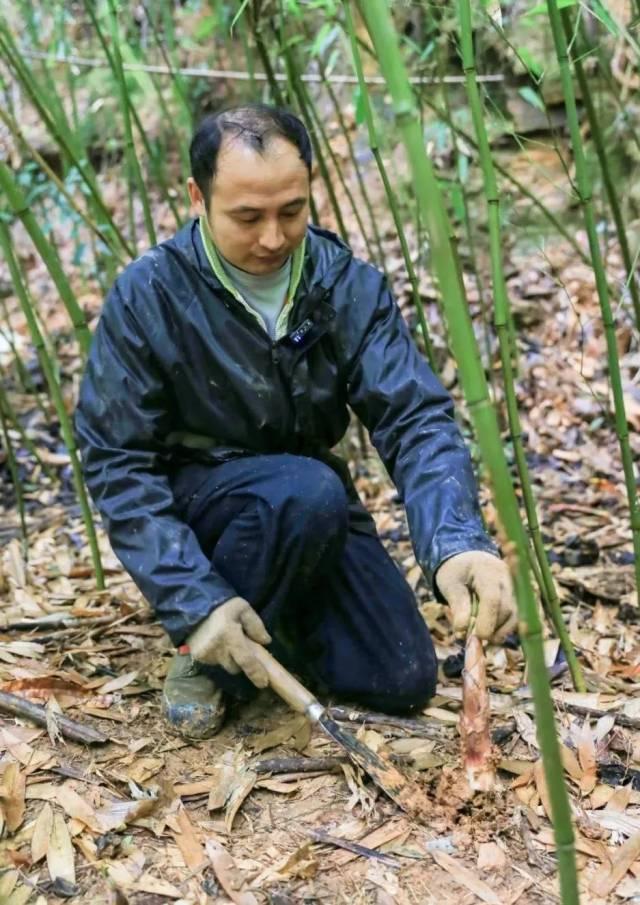 看饥了！肇庆那些时令好食上线~-5.jpg