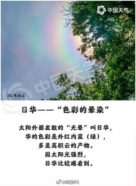 去自龙年龙月龙日的好景！广东多天可睹，有多特别？｜温度记·探实-13.jpg