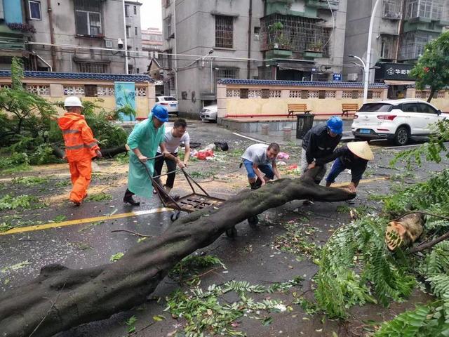 台风“苏推”过境，珠海“整伤亡 少丧失”-3.jpg