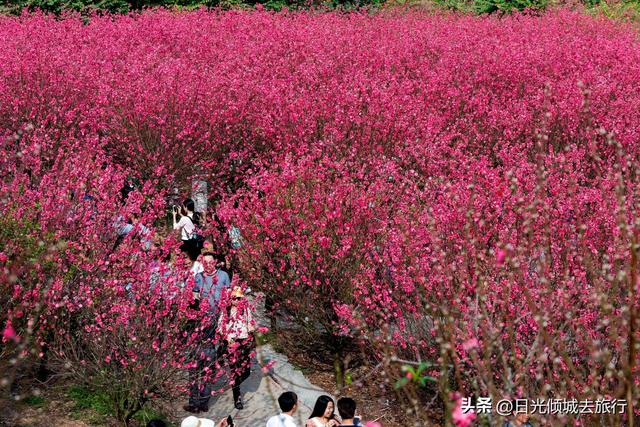 黄飞鸿故乡：佛山6日游-16.jpg