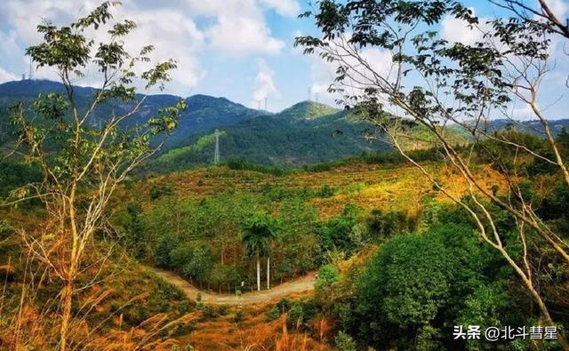 中山十年夜必玩景面，来过九处才算实正玩转中山-10.jpg