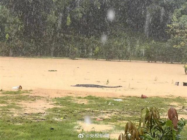 广东已有60个暴雨预警旌旗灯号见效，“珠江心上空像翻开了火龙头”-3.jpg