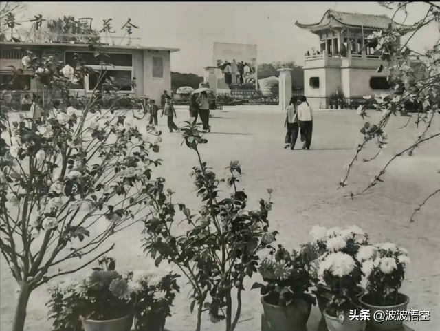 70-90年月的广东江门，那些处所您借记得吗？-4.jpg