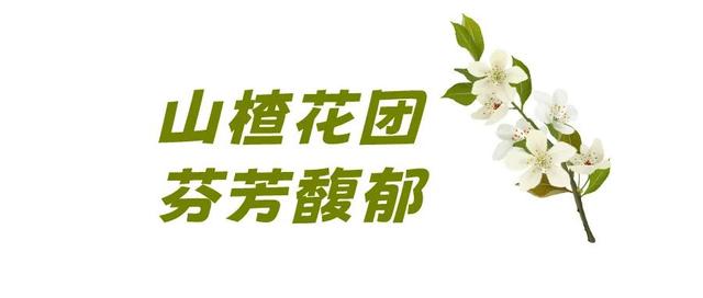 如今的肇庆，各个角降皆好翻了！-43.jpg