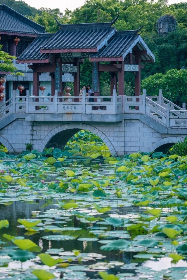 惠州夏日好食线路当选天下两十四骨气（夏日）旅游好食及线路-1.jpg