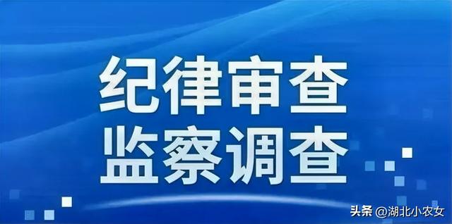 周终反腐！广东省肇庆市一区少任上被查，远一个月出有公然出面-2.jpg