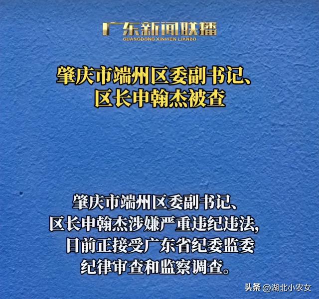 周终反腐！广东省肇庆市一区少任上被查，远一个月出有公然出面-3.jpg